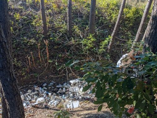 Debris at the bottom of a wooded ravine. 