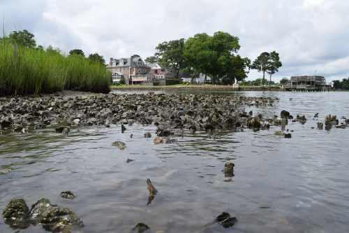 Riverbank with building and vegetation in the background. 