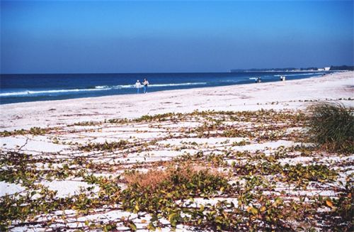 View of a beach.