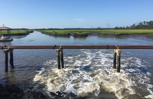 Water flowing under a bridge in a marshy area. 