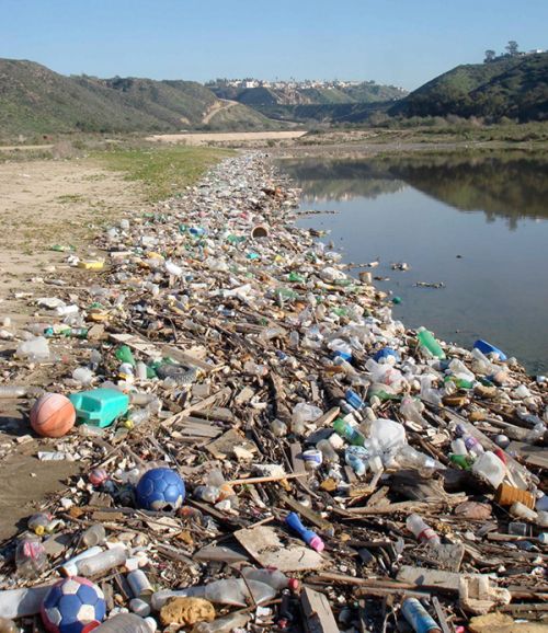 Marine debris at the edge of a body of water.