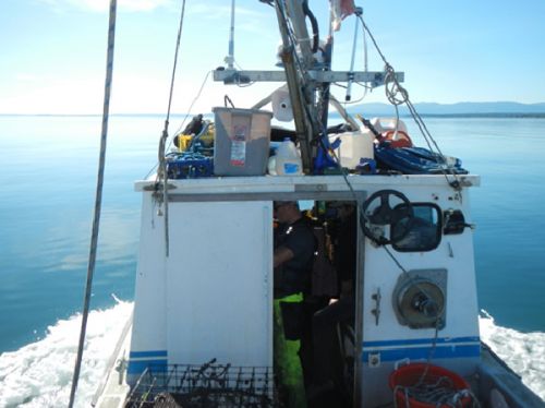 View from vessel on the water.