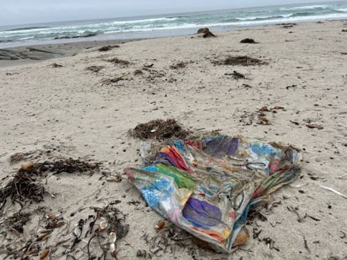 A balloon on a beach.