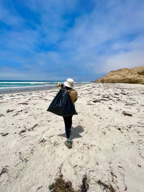 A person holding walking on a beach with a trash bag.