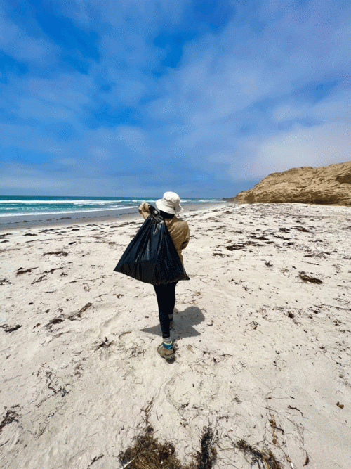 A person walking on a beach with a trashbag.