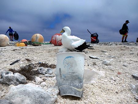 People and a bird on a beach with plastic debris.