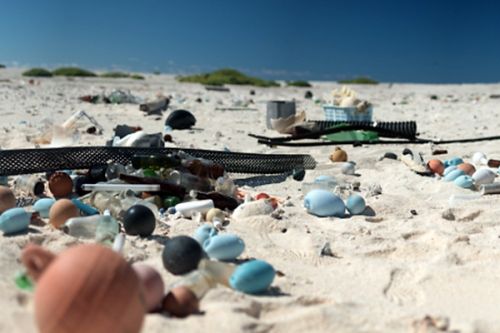 Marine debris on a beach.