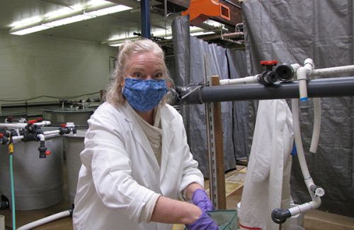 Woman in a mask and white coat working at a tank.