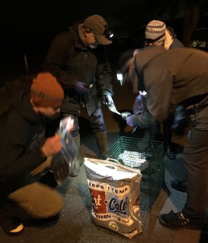 People work around a mussel cage in the dark.