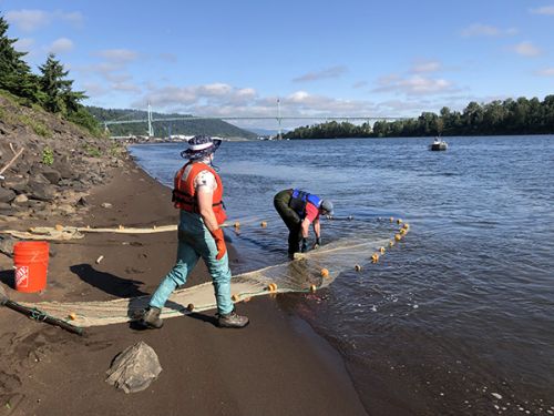 Two people working at the water's edge.