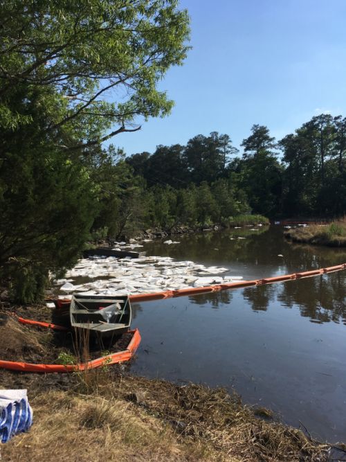 Booms on water with vegetation on banks.