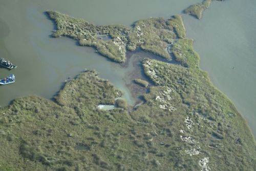 Overhead view of marsh, oil, and water.