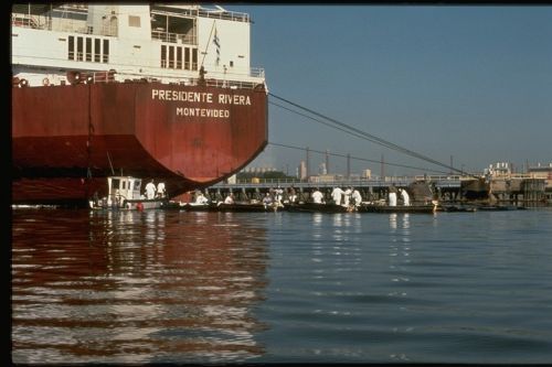 Large vessel aground near the water's edge.