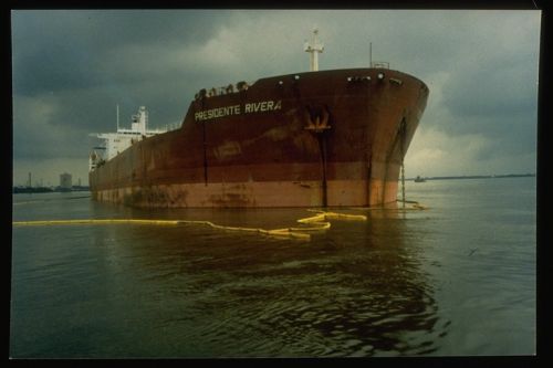 Bow of the vessel, aground in the water.