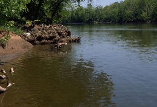 River, small beach and vegetation on the banks.