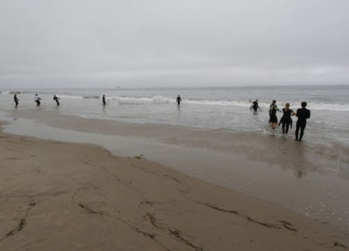 Scientists pull in a seine net along a beach near Santa Barbara, California, about a year after the oil spill at Refugio State Beach. They are sampling fish known as surfperch to evaluate any impacts from the oil spill. People at water's edge along a beach.