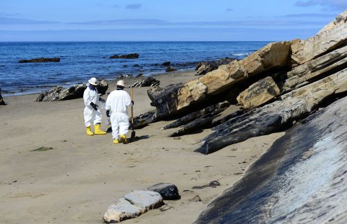 Workers in white suits on oiled beach.