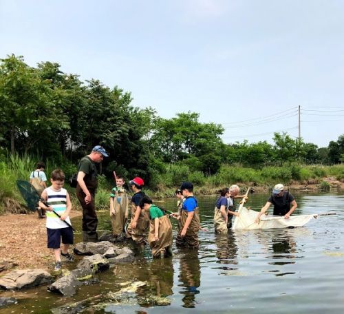 Children in shallow water by water's edge.