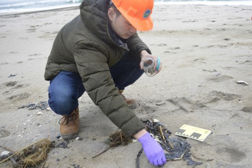 Person taking a sample of oil from a beach.