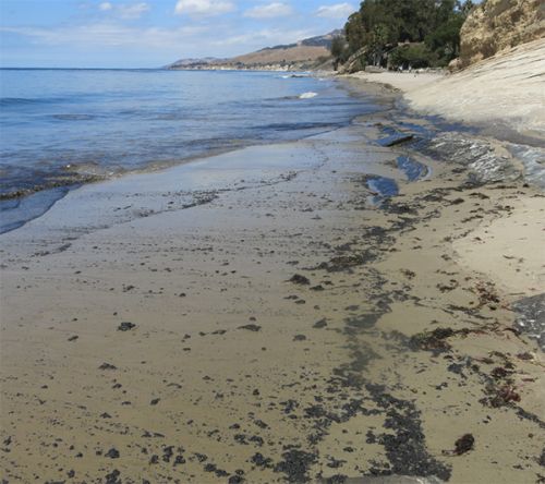 Oiled beach.