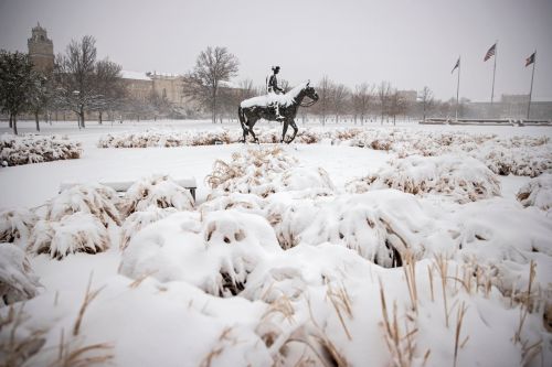 A wintery landscape. 