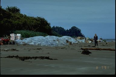 View of beach with oiled material under plastic.