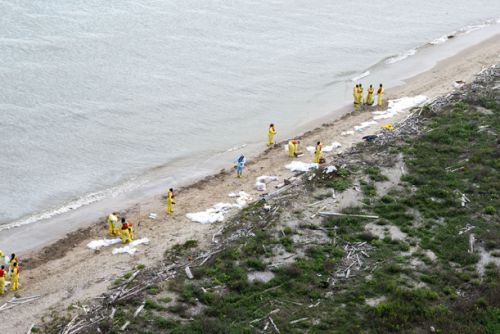 Aerial view of workers on beach.