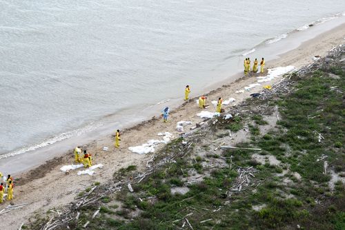 Workers cleaning a beach.