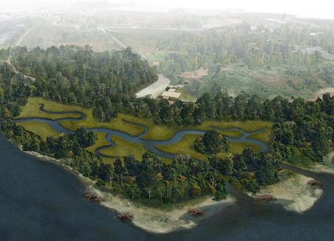 A green park area near a body of water. 