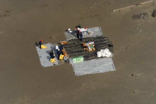 Site for organizing beach cleanup on the sand.