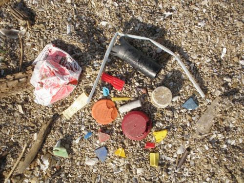 Common marine debris found in the Great Lakes.
