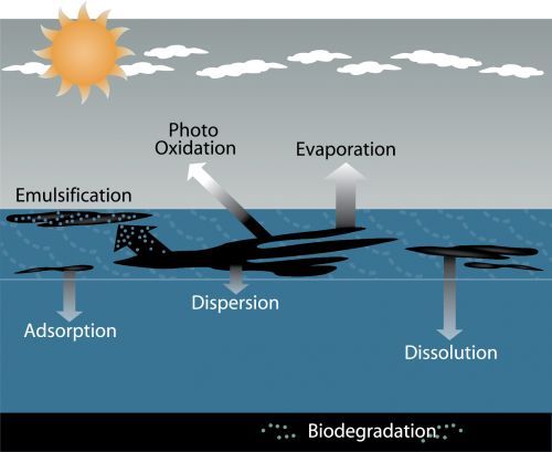 Figure showing the weathering processes affecting oil spills.