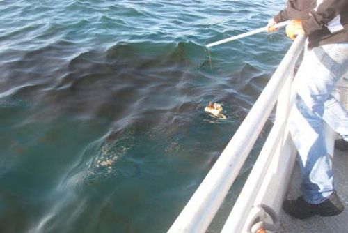 A person on a boat running a device through a slick of oil in the water. 