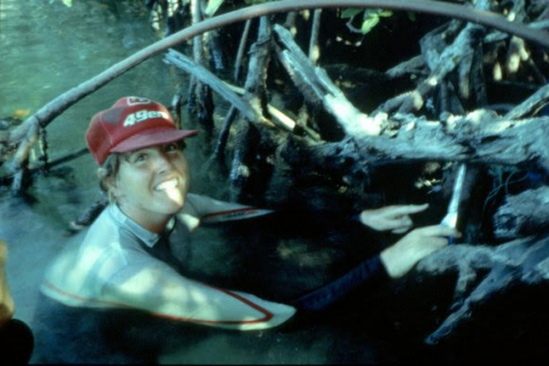 A woman swimming in a mangrove.