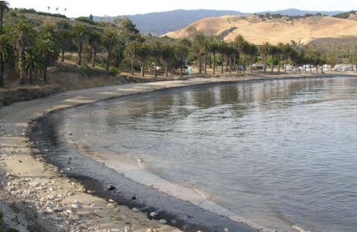 An oiled beach.