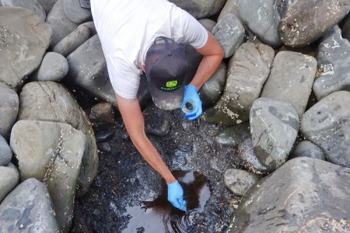 Person taking oil samples on a rocky beach.