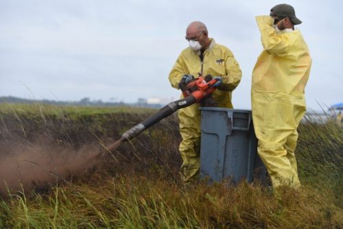 Two responders in protective gear spraying marsh.