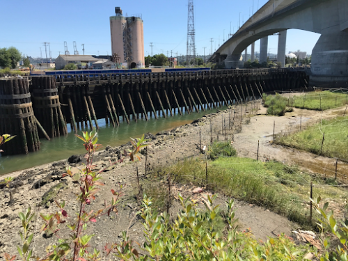 A river bank.