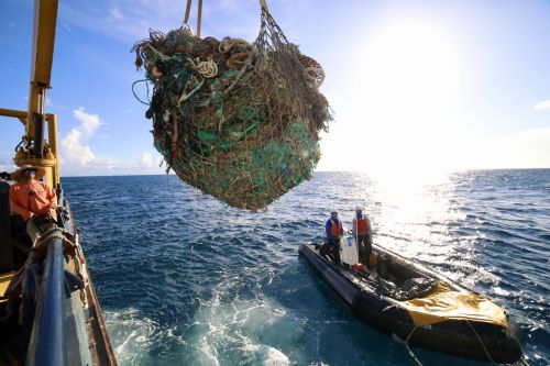 A large pile of fish netting being pulled from the water.