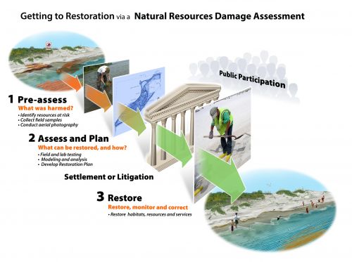 Process diagram of steps taken to achieve restoration.