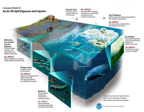 Cut-away illustration of wetlands, pelagic zone, and benthos.