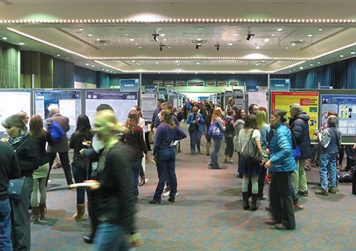 People roaming around a hall of posters. 