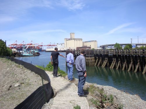 Scientists standing on the bank of the Duwamish River in Seattle.