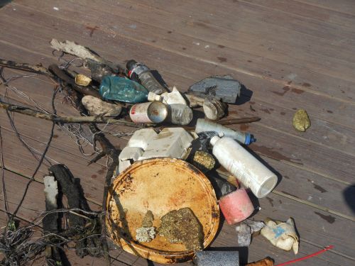 Image of marine debris on a Lake Erie dock.