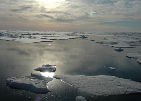 Arctic Ocean, Canada Basin, July 22, 2005.