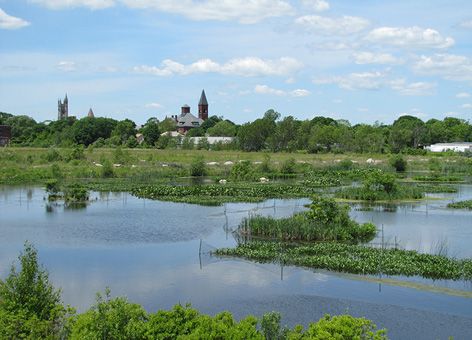 New freshwater marsh with the town of Fairhaven, Mass., in the background.