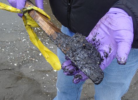 Person holding a piece of wood with oily sludge on it.