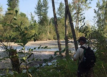 Person along the wooded edge of a river in Washington. 