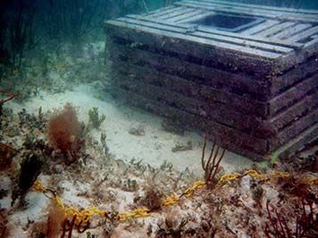 A derelict stone crab pot rests on the bottom of the ocean.