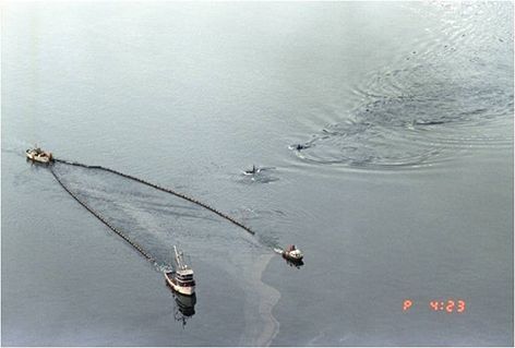 Killer whales swimming alongside skimmers from the Exxon Valdez oil spill.
